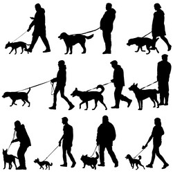 Similar image 21313755