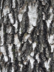 Similar image 21313689