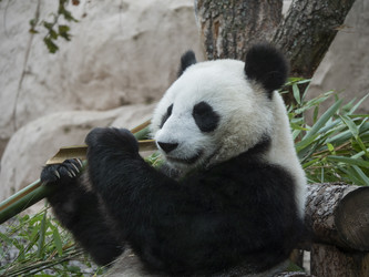 Similar image 21313694