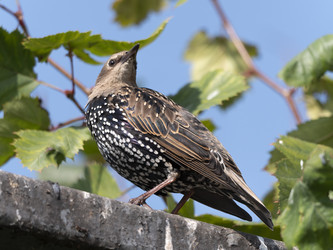 Similar image 21313696