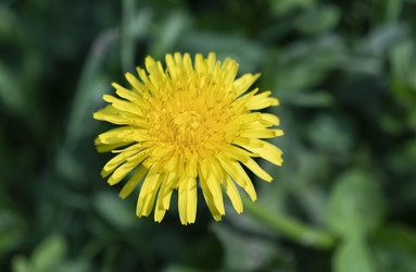 Similar image 21313697