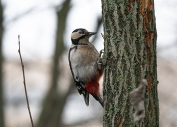 Similar image 21313706