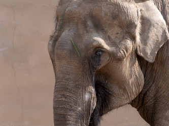 Similar image 21313707