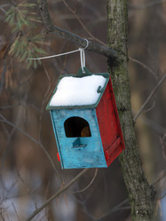 Similar image 21313710