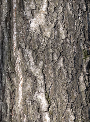 Similar image 21313715