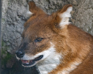 Similar image 21313716