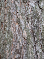 Similar image 21313719