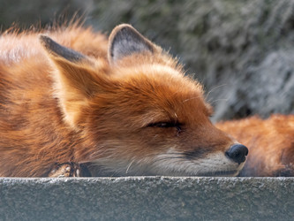 Similar image 21313720