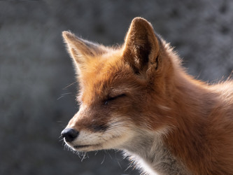 Similar image 21313721