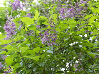 Similar image 21313722