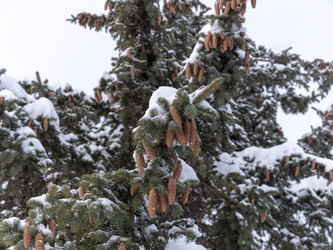 Similar image 21313724