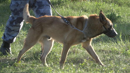 Similar image 21308877