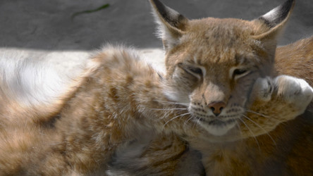 Similar image 21308878