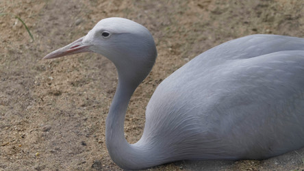 Similar image 21308881