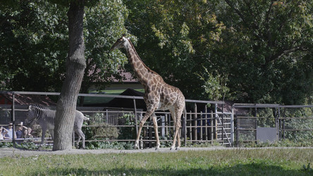 Similar image 21308882