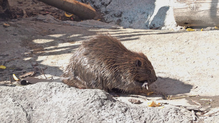 Similar image 21308883