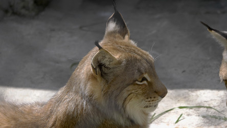 Similar image 21308888