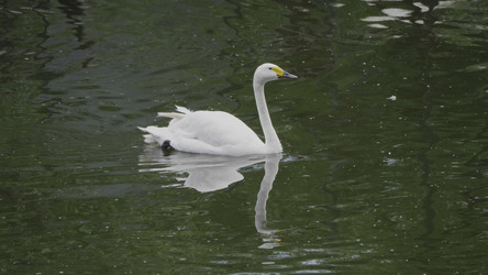 Similar image 21308891