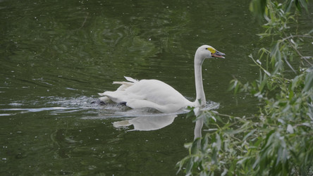 Similar image 21313727