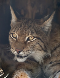 Similar image 21313735