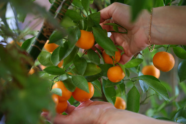 Similar image 21329445