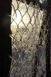 Similar image 21341299