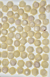 Similar image 21341336