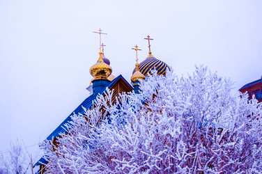 Similar image 21314325