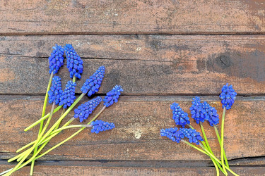 Similar image 21343153