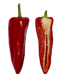 Similar image 21293684