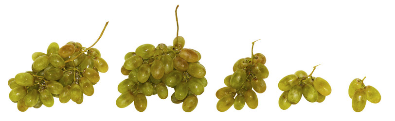 Similar image 21293689