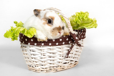 Similar image 21293691