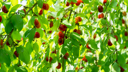 Similar image 21293196