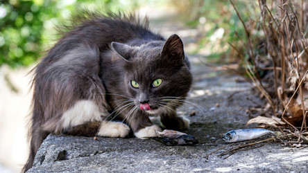 Similar image 21293201