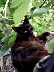 Similar image 21293202