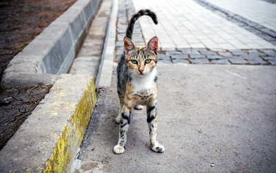 Similar image 21293204