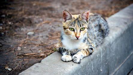 Similar image 21293205