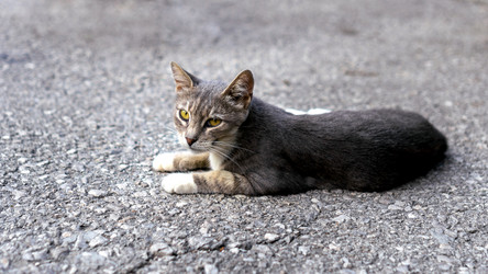 Similar image 21293206