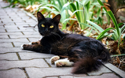 Similar image 21293208