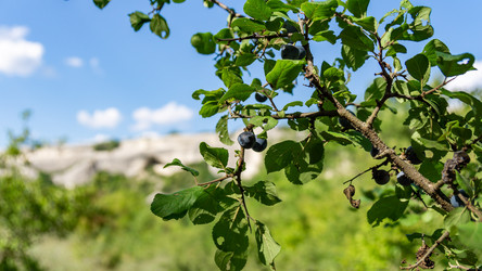 Similar image 21293212