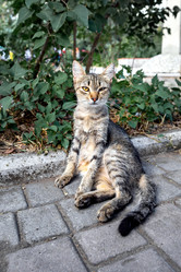 Similar image 21293216