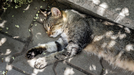 Similar image 21293217