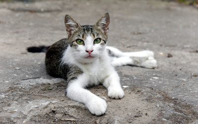 Similar image 21293229