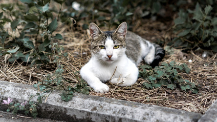 Similar image 21293231