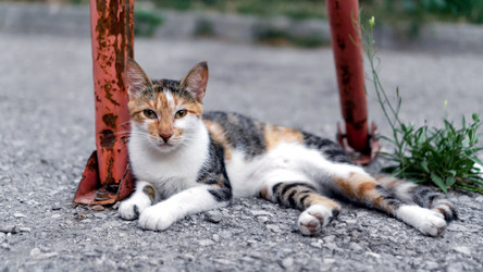 Similar image 21293233