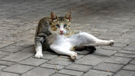 Similar image 21293247