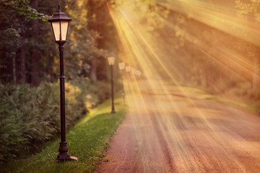 Similar image 21297321