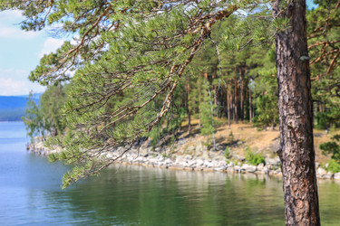 Similar image 21342026