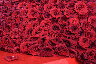 Similar image 21342028