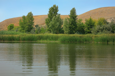 Similar image 21315969